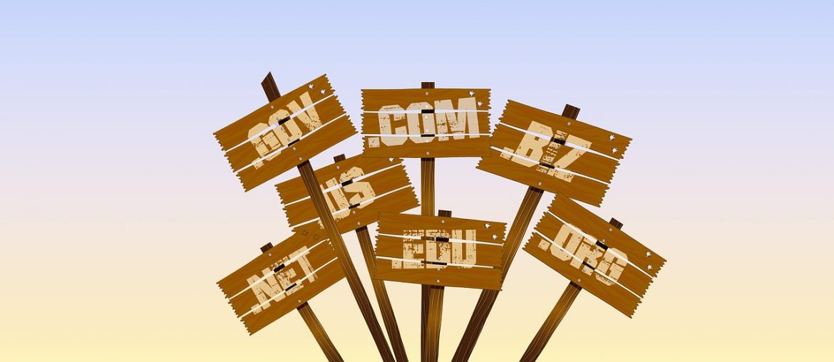 Managing Domain Name Registrations domain name registration