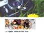 Blog webpage header with a vintage camera, yellow flower, and a cheese platter with fruits and snacks for decoration.