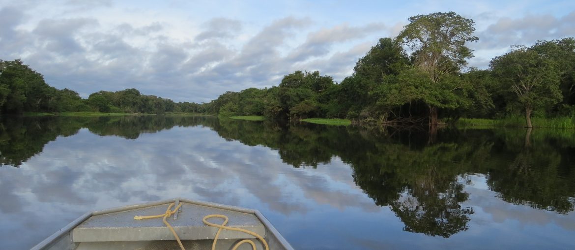 Boat on calm river reflecting green trees and cloudy sky in lush, tranquil landscape.