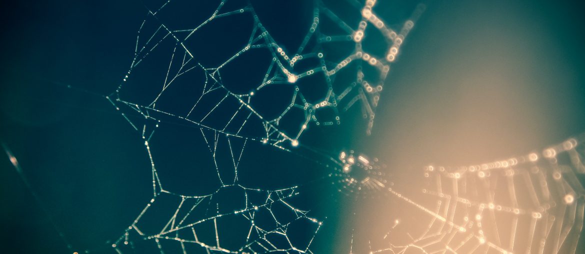 Close-up of a dew-covered spiderweb glistening in soft sunlight against a dark, blurred background.