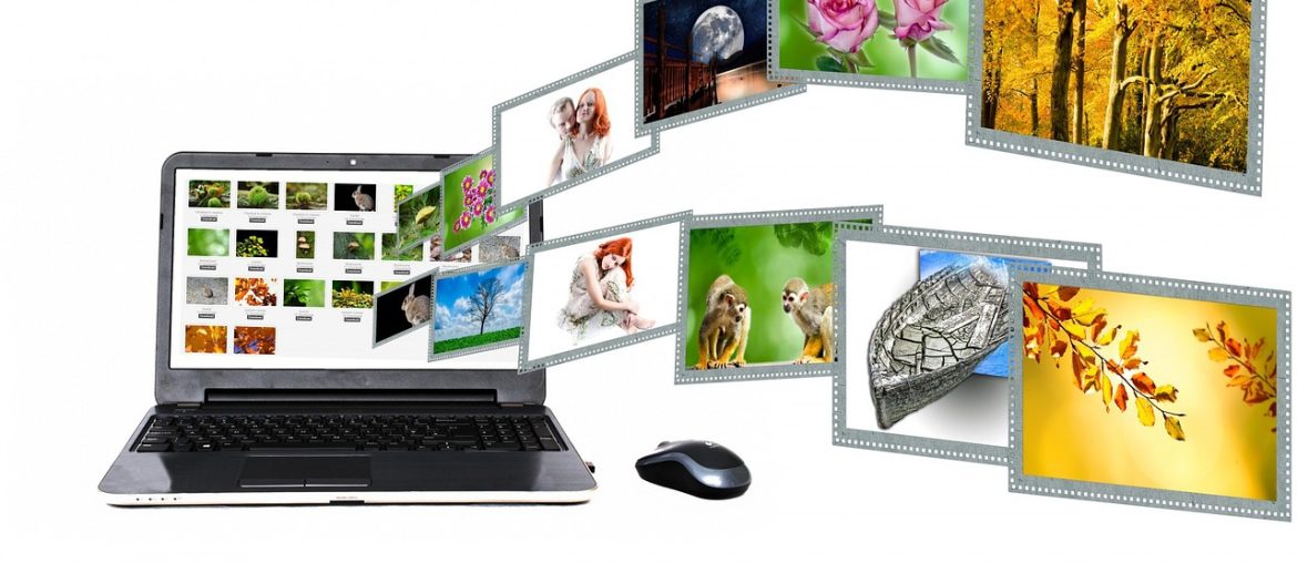 Best File Formats for a Website and Five Tips for Your Images Laptop with multiple photo frames displaying nature and animals flowing outward and a computer mouse beside it.